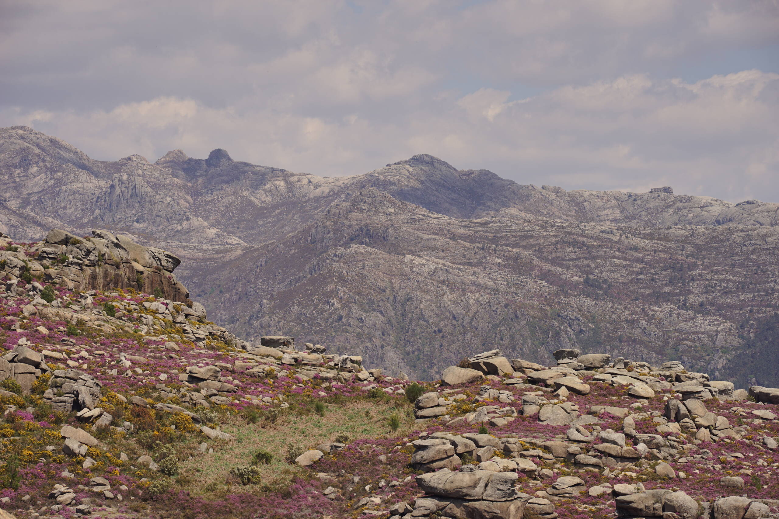 An image of purple mountains.